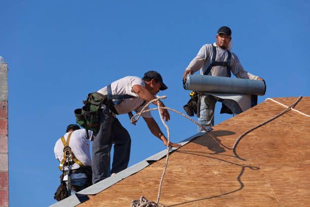 Best Roof Repair Services  in Muscle Shos, AL