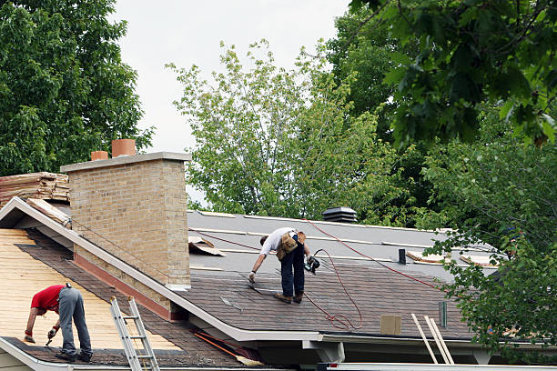 Best Shingle Roofing Installation  in Muscle Shos, AL