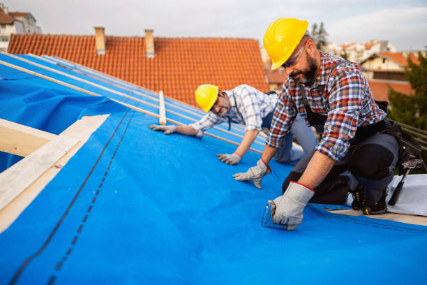 Best Storm Damage Roof Repair  in Muscle Shos, AL