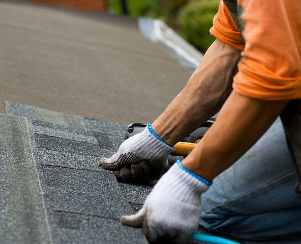 Professional Roofing Contractor in Muscle Shoals, AL