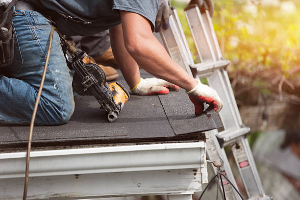 Best Emergency Roof Repair  in Muscle Shos, AL