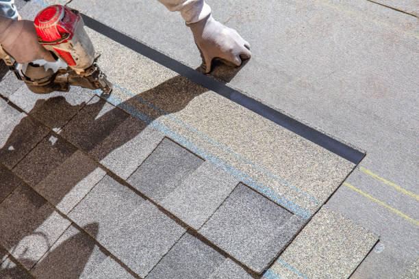 Best Metal Roofing Contractor  in Muscle Shos, AL