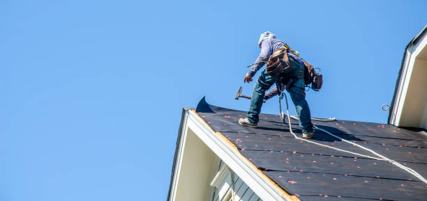 Best Roof Gutter Cleaning  in Muscle Shos, AL