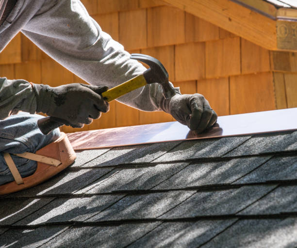 Best Best Roofing Contractors  in Muscle Shos, AL